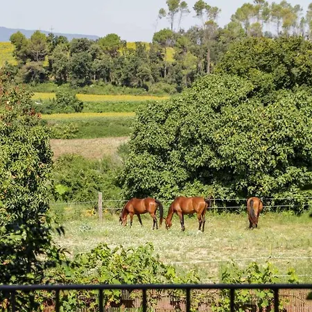Masia Grau Con Desayuno Inlcuido Bed & Breakfast
