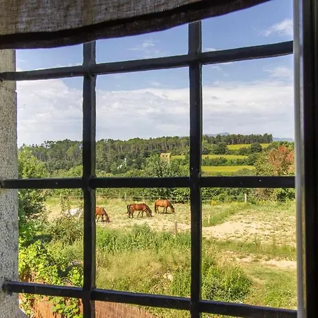 Bed & Breakfast Masia Grau Con Desayuno Inlcuido *